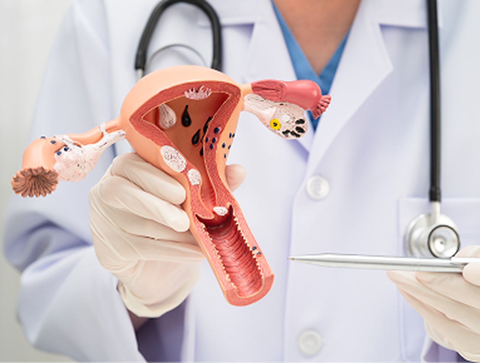 Obstetrics, Gynaecology & Infertility